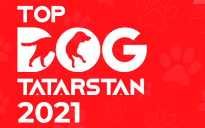 ВЫСТАВКА СОБАК «TOP TOG TATARSTAN 2021»