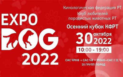 НАЦИОНАЛЬНЫЕ ВЫСТАВКИ СОБАК «DOG EXPO 2022»